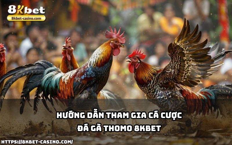 Học cách tham gia cá cược Đá Gà Thomo 8KBET nhanh chóng và dễ dàng chỉ với vài bước cơ bản Học cách tham gia cá cược Đá Gà Thomo 8KBET nhanh chóng và dễ dàng chỉ với vài bước cơ bản