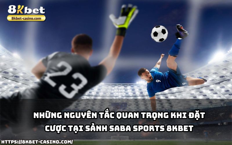 Hiểu rõ các nguyên tắc tại SABA Sports 8KBET để cá cược an toàn và nâng cao cơ hội chiến thắng Hiểu rõ các nguyên tắc tại SABA Sports 8KBET để cá cược an toàn và nâng cao cơ hội chiến thắng